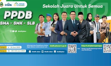 Alur PPDB
